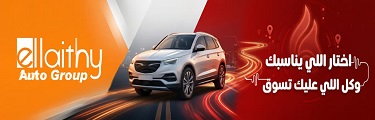 Ellaithy auto group banner