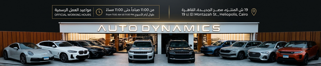 Auto dynamics banner